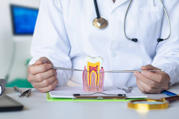 Best Emergency Denture Repair in Oxnard, CA